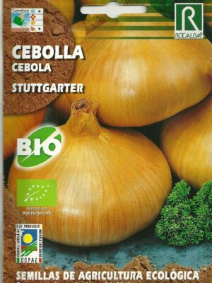 Cebolla Stuttgarter