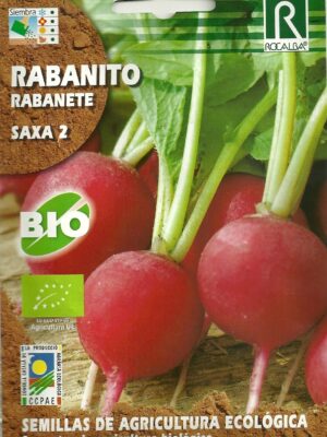 Rabanito "Saxa 2"