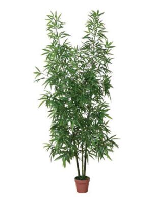 Bambú 200 cm