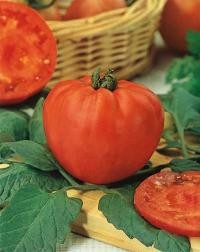 Semilla de Tomate Corazon de Buey 1 g.