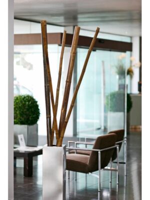 Bambú Decorativo 180cm